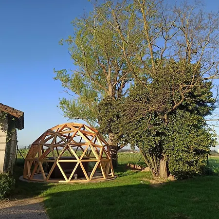 De Charme Et Pres D'albi , Au Mas De Bel Air Feriehus *