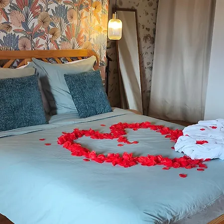 De Charme Et Pres D'albi , Au Mas De Bel Air Feriehus Arthes