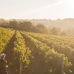 Dom wakacyjny De Charme Et Pres D'albi , Au Mas De Bel Air Arthes