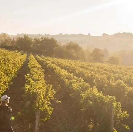 Σπίτι διακοπών De Charme Et Pres D'albi , Au Mas De Bel Air Arthes